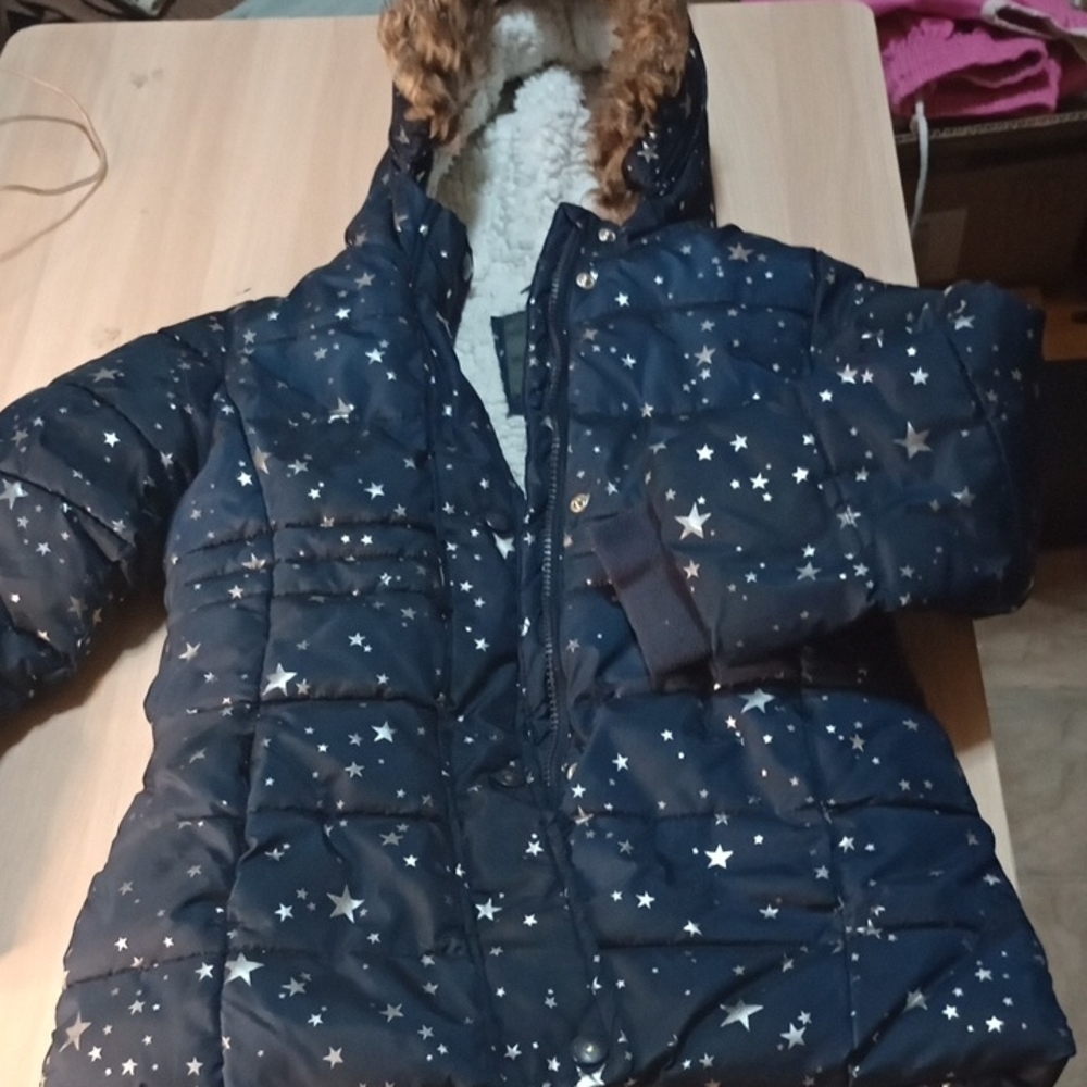 Toddler Puffer Navy Star Puffer Jacket